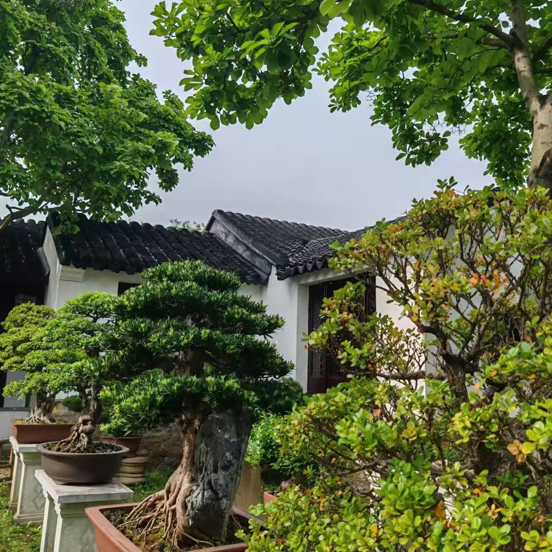 余晋文