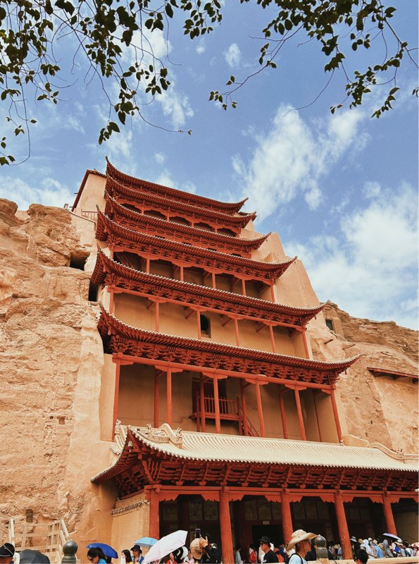 教师教育学院 王梓仪