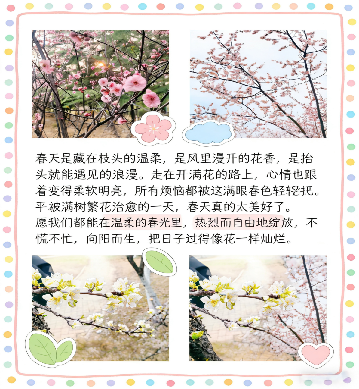 王中洁
